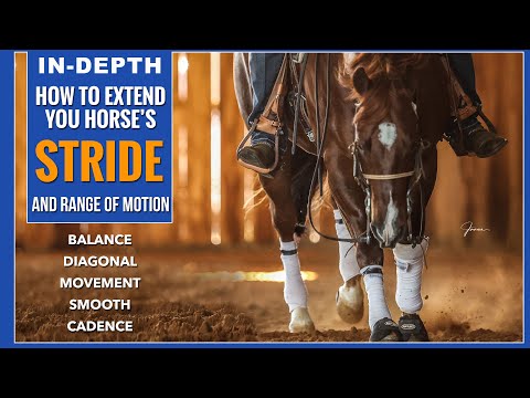 How to Extend & Balance Your Horses Stride! 5 VERY Effective Exercises!