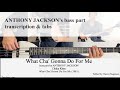 WHAT CHA' GONNA DO FOR ME -Anthony Jackson -Chaka Khan -Stenback Bass -Moog sub -sheet music video