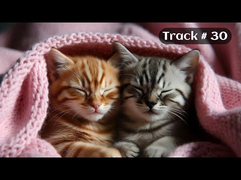 [Sleepy Cats Piano #30] Relaxing Piano for Quiet Cat Moments