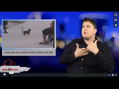 Your dog will rush to help when you cry (ASL - 7.24.18)