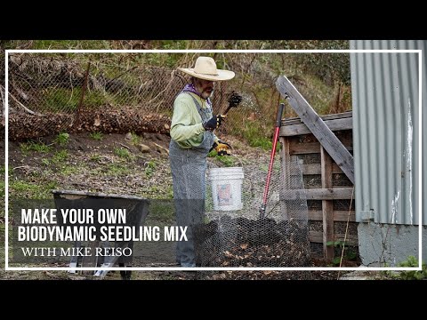 Biodynamic seedling mix with Farmer Mike Reiso