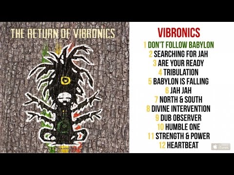 Vibronics Ft. Soom T - The Return of Vibronics - #1 Dont Follow Babylon
