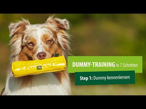 Dummytraining 🐶 Hund trainieren 🐾 Step 1: Dummy kennenlernen