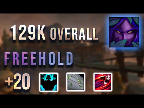 Freehold +20 | Subtlety Rogue | Fortified | Dragonflight