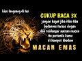 GRATIS Cara Dan Amalan Untuk Menghadirkan Khodam Macan Emas