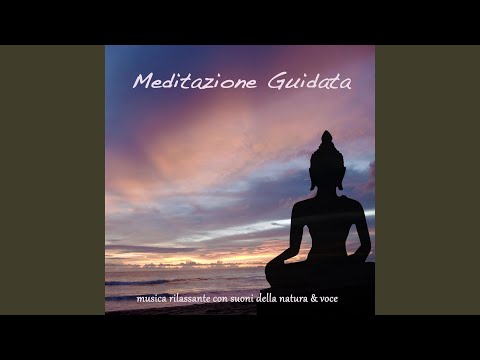 download lagu mp3 mp4 Meditazione Guidata Testo, download lagu Meditazione Guidata Testo gratis, unduh video klip Meditazione Guidata Testo