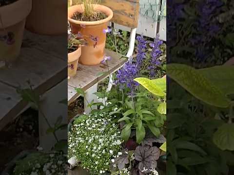 菜園コンテナの寸法高さ深さ根の発達作業の容易さ簡単にアクセスできるようにする