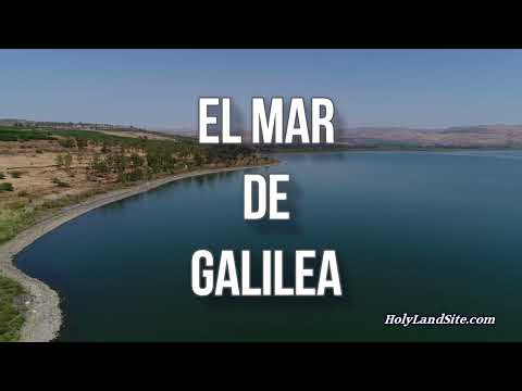 Milagros del Mar de Galilea | Miracles in the Sea of Galilee | Israel