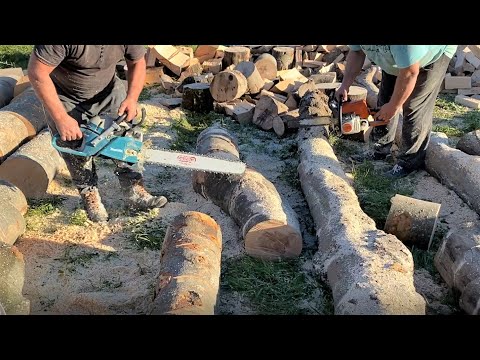 Makita 6401 VS Stihl 230 VS Ruris Expert 451