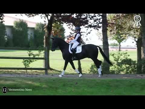 Kat Nr. 12 Vermentino Nero