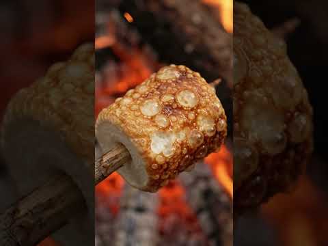 Marshmallow Roasting