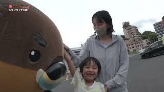 2026/6/2放送・知ったかぶりカイツブリにゅーす
