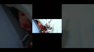 【#又三郎】【#ヨルシカ】【#shorts】【#永久機関】プロフよりYouTube fullへ飛べます！  #ヨルシカ  #初音ミク #anime #キタニタツヤ