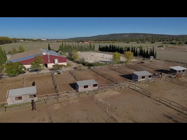Ecurie &agrave; forte rentabilit&eacute; - Activit&eacute; de transit 