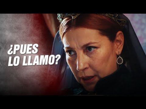 ¿Seguro Que Quieres A Mustafa? Quizás Lo Dijiste Mal, Mi Amor