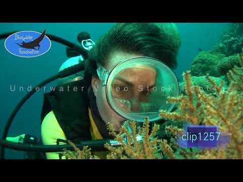 1257_Female scuba diver vintage oval mask. HD Royalty Free Stock Footage
