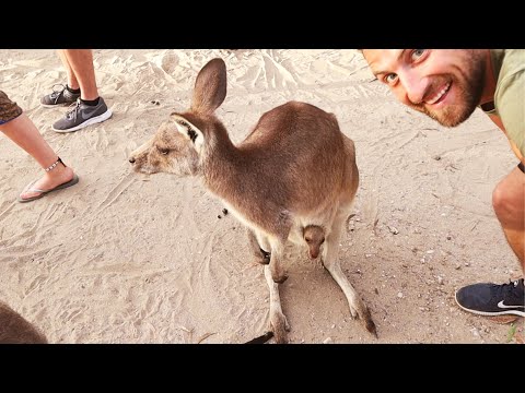 Island hopping to Australia’s symbol & countless repairs - Sailing the South Great Barrier Reef