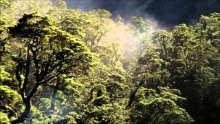 Pat Metheny Group  - The Awakening