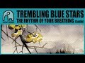 TREMBLING BLUE STARS - The Rhythm Of Your Breathing [Audio]