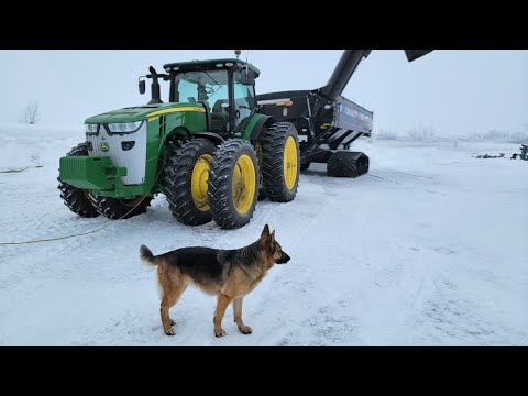 , title : 'A Sunny Winter Day on the Farm'