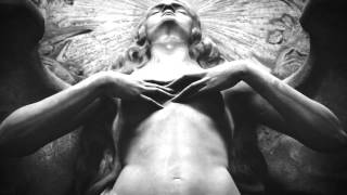 Morgan King 'Grains &amp; Grams'