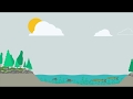 Coastal Lagoons