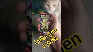 New Ascended Heroes! 🐾 Can the cat find a Secret Rare? #shorts #pokemon #packopening