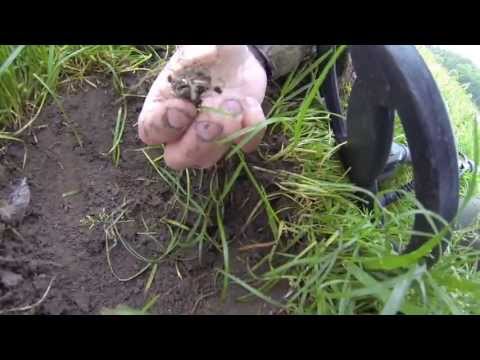 VERY BEAUTIFUL RINGS. XP Gmaxx II, Metal Detecting, Treasure Hunting, hledání detektorem kovů