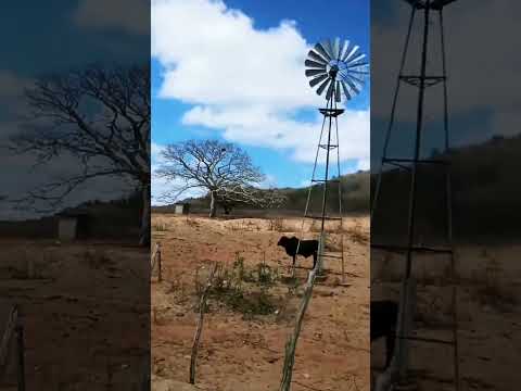 SITIO CABAÇEIRO DAMIAO PB