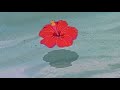 La Isla Bonita Madonna Slowed Reverb