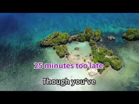 25 Minutes [Karaoke Cover] - Michael Learns To Rock