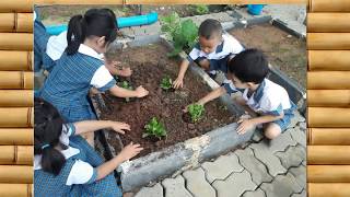 Download the video "VTR การดำเนินงานตามระบบประกันคุณภาพภายในสถานศึกษาโรงเรียนบ้านท่าตะแบก"