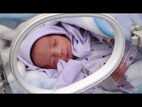 New Year’s gift for the newborn baby, Nazira Musamam report / تحفه سال نو برای طفل نوزاد