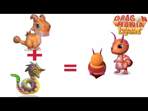 How to breed Ant dragon egg ?,Gameplay, Dragon Mania Legends -part 557