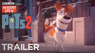 The Secret Life of Pets 2 (2019) Video