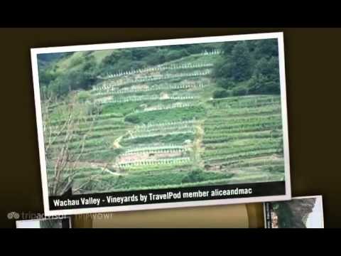 Wachau Valley - Danube Valley, Lower Austria, Austria