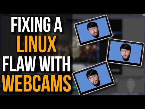 V4L2Loopback: Virtual Cameras Make My Life Simple