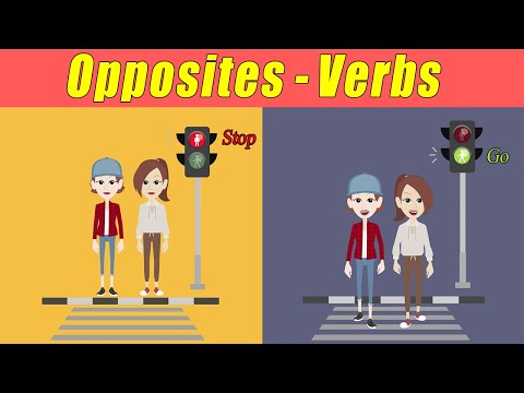 Job Interview English Conversations Part 2