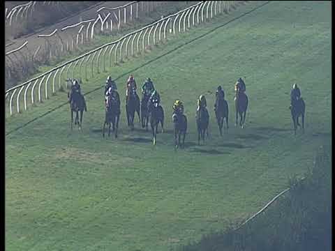 Galoppo 16/12/2018 - 5ª corsa