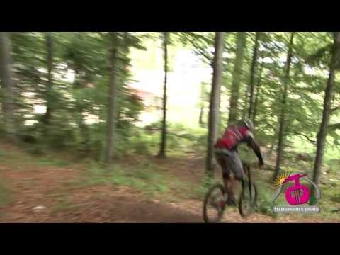 HAPPY BEAR TRAIL, primul traseu de ciclism montan, la Sinaia!