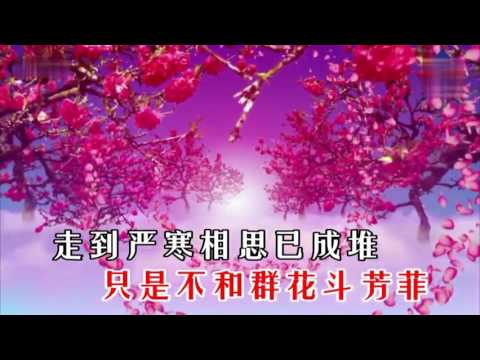 Ai bảo hoa mận không có nước mắt (Shuí shuō méi huā méi yǒu lèi - 谁说梅花没有泪) - Trương Cẩm Địch