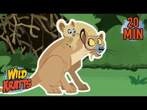 The Best Creature Moms in the Wild | Mother's Day | New Compilation | Wild Kratts
