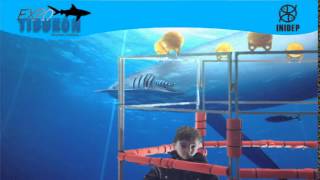 DIA 2 Expo Tiburon87