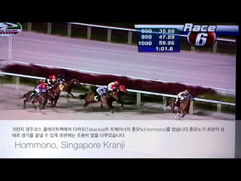 칸치로(조) 후지   Kanichiro Fujii  騎手　藤井　勘一郎