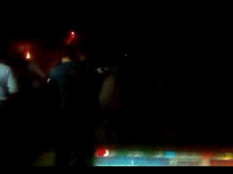 vydmantai virkstininkai 2