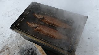 Щука все про щуку кратко