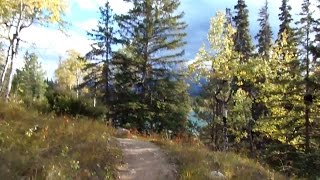 Beautiful fall colors in Jasper National Park, Canada