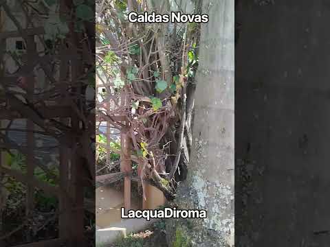 #caldasnovasgoias #motovlog  #caminhoparaumavidamelhor #deustemumapalavrapravoce #harrystyles