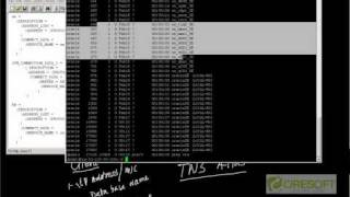 managed dedicated server India