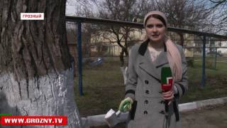 Председатель парламента Магомед Даудов и мэр Грозного Муслим Хучиев приняли участие в субботнике 